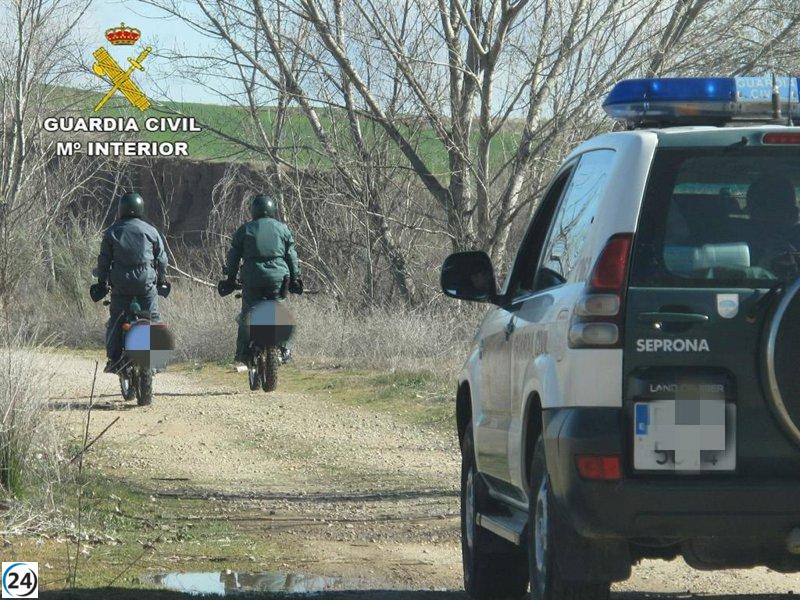 Cuatro personas absueltas de mutilar animales en finca de Son Ferriol.