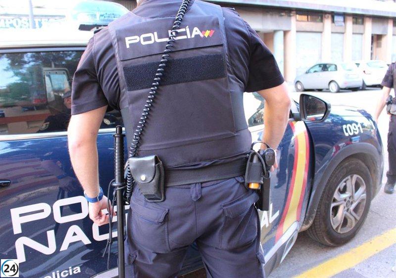 Grupo criminal en Palma robaba vehículos para cometer alunizajes, desarticulado por la Policía.