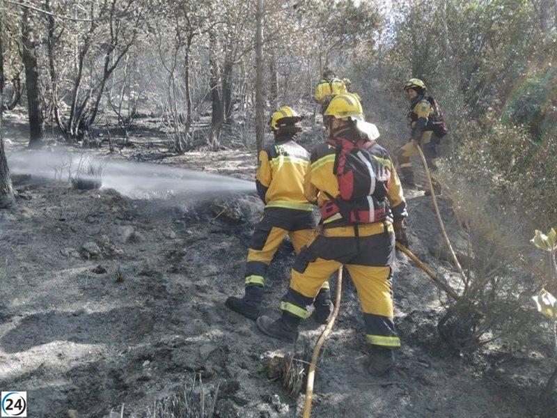 Devastadores incendios arrasan miles de hectáreas en Baleares_cells 74,3 hectáreas en tan solo un mes