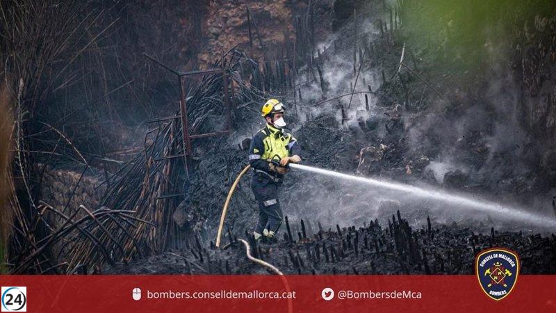 Las autoridades logran controlar el fuego en Mallorca.