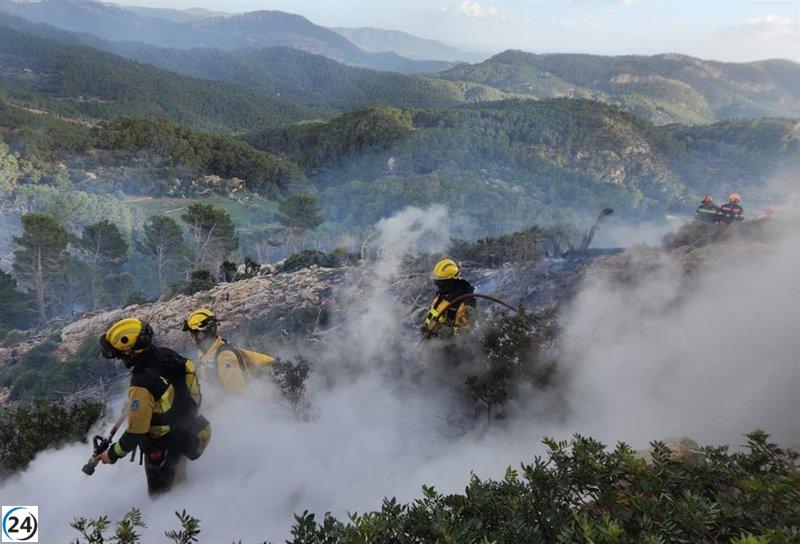 Apagan el incendio en Andratx que arrasó 70 hectáreas.
