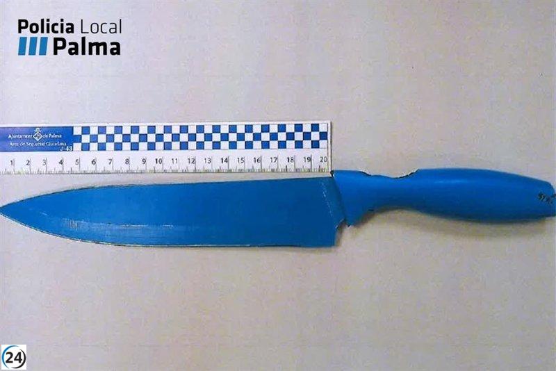 Arrestan a un hombre por amenazar con un gran cuchillo a huéspedes de un hotel en Palma.