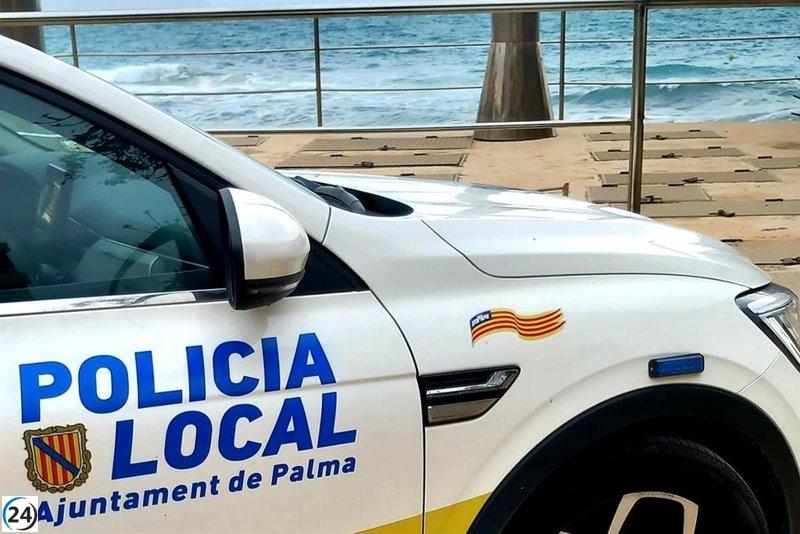 La Policía de Palma indaga a un conductor por usar un carné alemán falsificado.