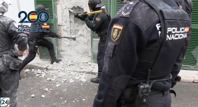 Cae red narcotraficante en La Soledad: cinco arrestos y confiscación de 274 plantas de marihuana.