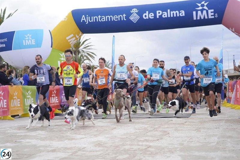 Exitosa inauguración de la Cursa Pro Bienestar Animal en Palma con 370 corredores.