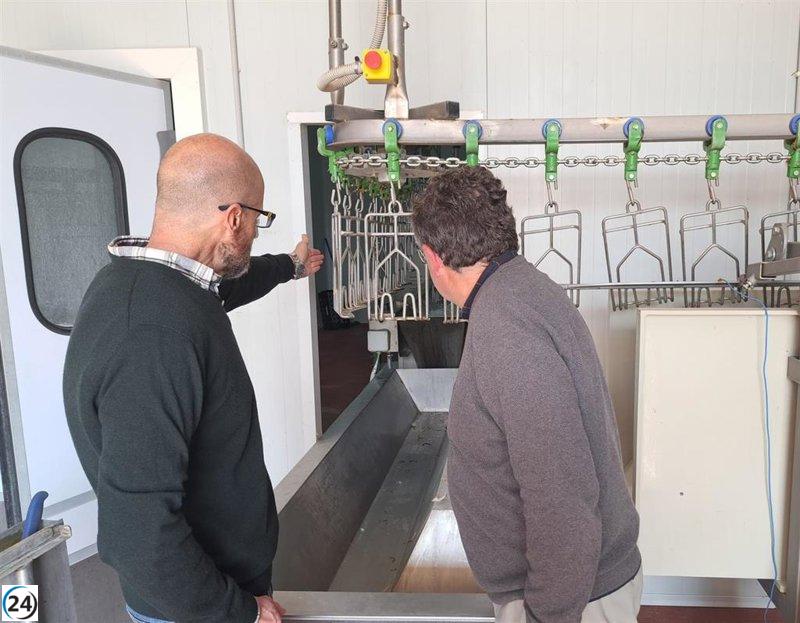 Acuerdo entre el Gobierno e Inca garantiza el sacrificio de aves en el matadero municipal.