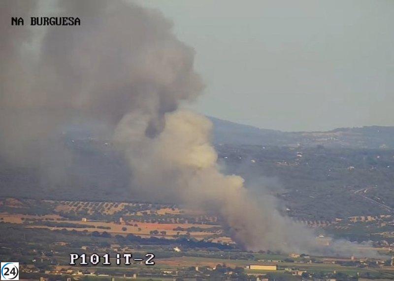 Incendio forestal descontrolado amenaza zona residencial en Sant Jordi.