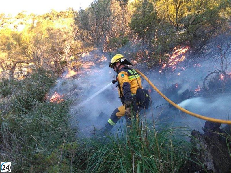 Incendios forestales arrasan 0,44 hectáreas en Baleares en lo que va de 2023.