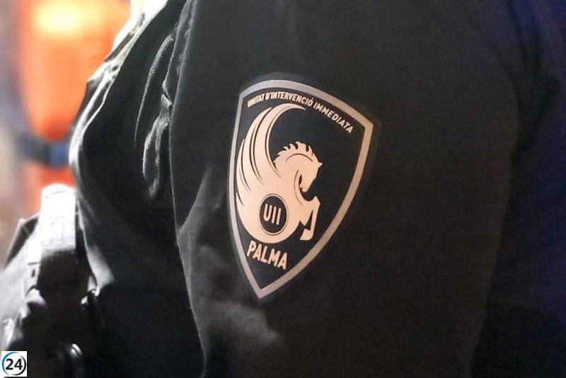 Dos arrestados en Palma tras atacar a agentes durante una riña en la vía pública.