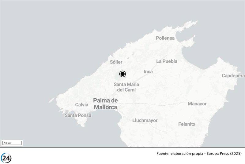 Bomberos de Mallorca salvan a cuatro jóvenes extraviados en sa Sangonera.