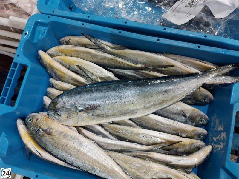 El cambio climático podría disminuir en más del 40% la biomasa de peces comerciales en Europa para 2100.