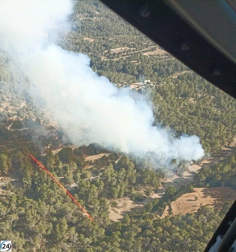 Incendio forestal avanza en Cala d'Hort.
