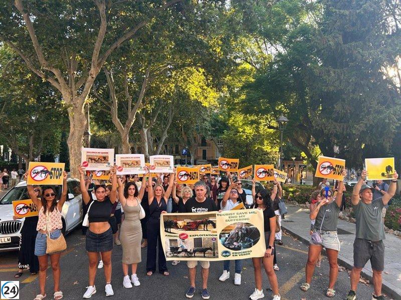 Miles de ciudadanos en Palma exigen la abolición de las calesas de caballos.
