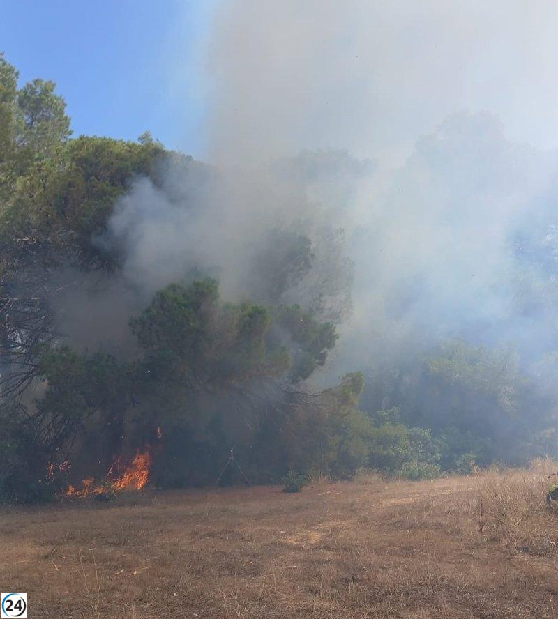 Luchan contra fuego en el bosque de Sant Joan, Ibiza.