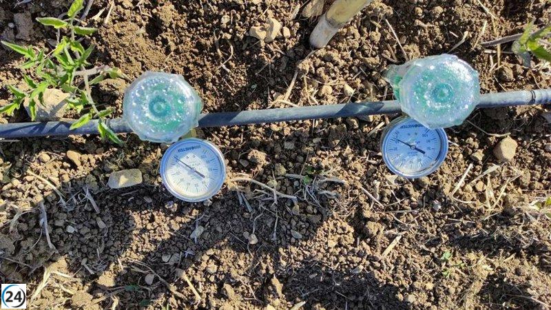 La agricultura de Mallorca produce apenas el 40% de los plásticos que estiman los fabricantes.