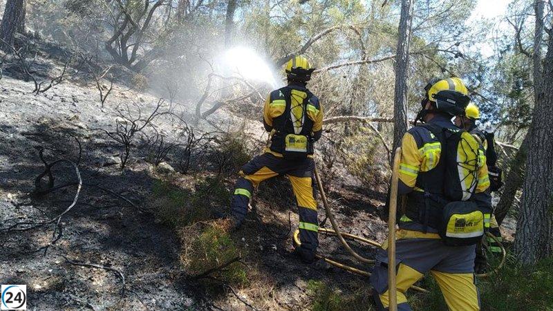 Incendios arrasan 22,52 hectáreas en Baleares hasta el 1 de agosto.