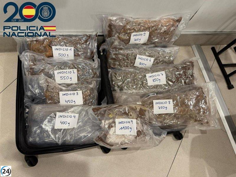 Tres arrestados con más de seis kilos de droga en ferry de Barcelona a Palma.