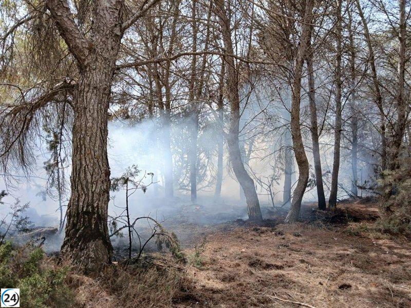 Se desata un incendio en Formentera.