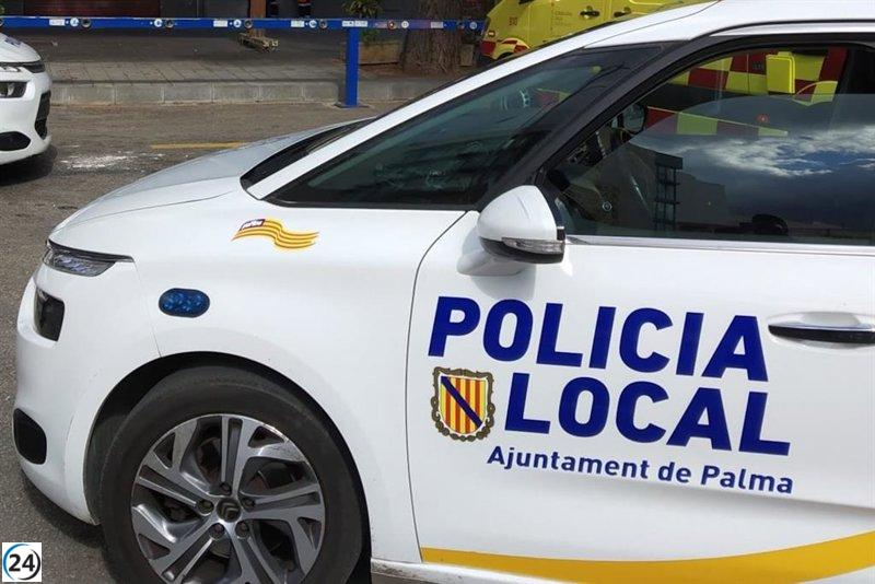 Joven arrestado por asalto a tienda de perfumes en Palma, valorados en 240 euros.
