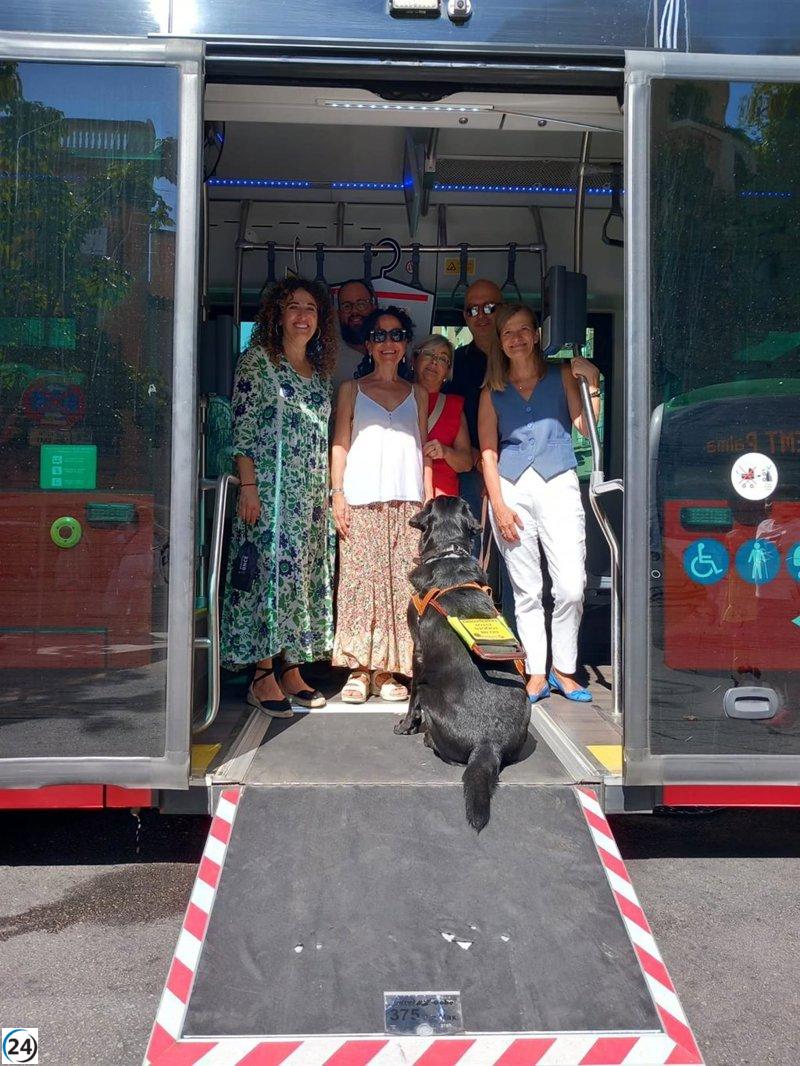 El Govern lanza un sistema de audio en los buses TIB para apoyar a personas con discapacidad visual.