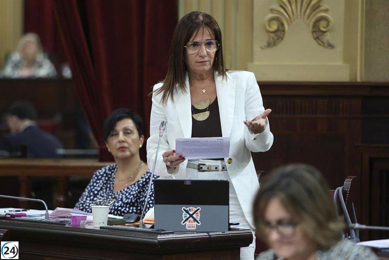 Cañadas (Vox) exige prioritizar ayuda a los locales en el Parlament.