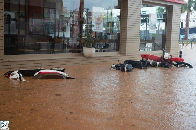 Ibiza solicitará al Gobierno la designación de área en estado de catástrofe.