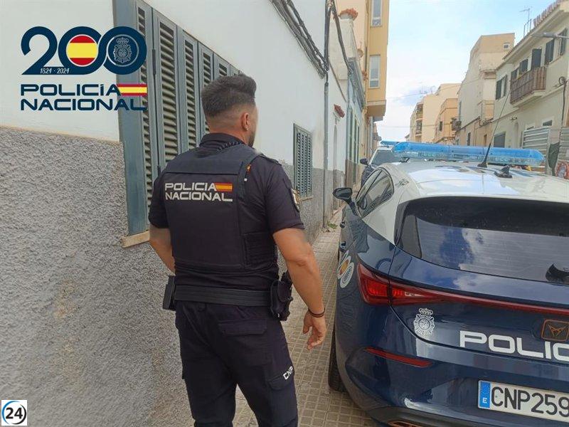 Capturan a dos adolescentes por asalto a una vivienda en Porto Pi.