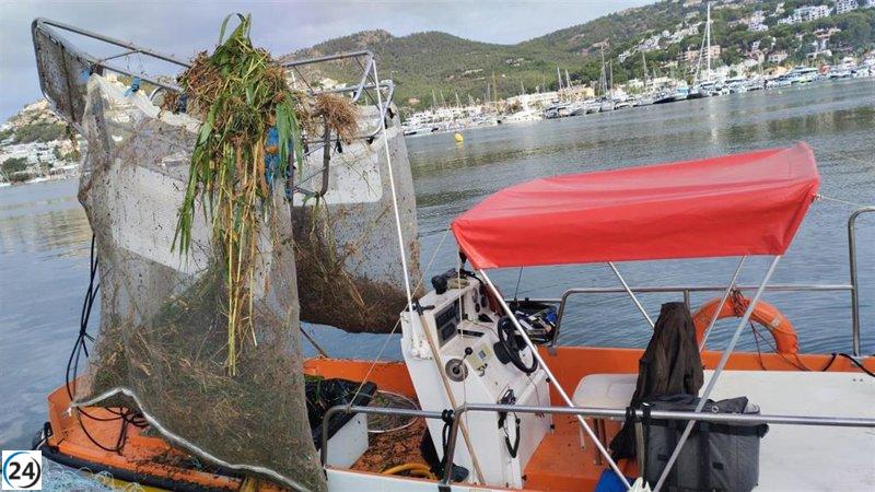 Casi ocho toneladas de desechos limpiadas en las costas de Baleares en septiembre.