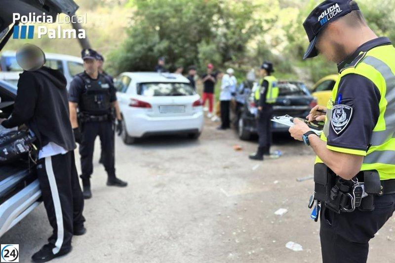 Detenido un coche en Palma con siete ocupantes; el conductor, ebrio y drogadicto.