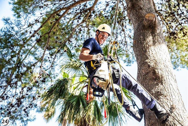Educación invierte más de un millón de euros en programas de formación para 2025-2026.
