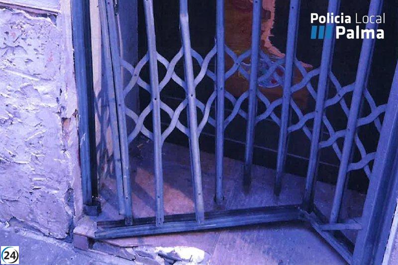Arrestan a un individuo por supuesta ocupación y vandalismo en un establecimiento en el centro de Palma.