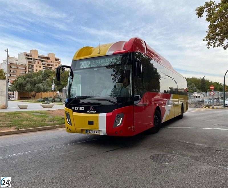 Ciclista atropellada por autobús del TIB en Palma.