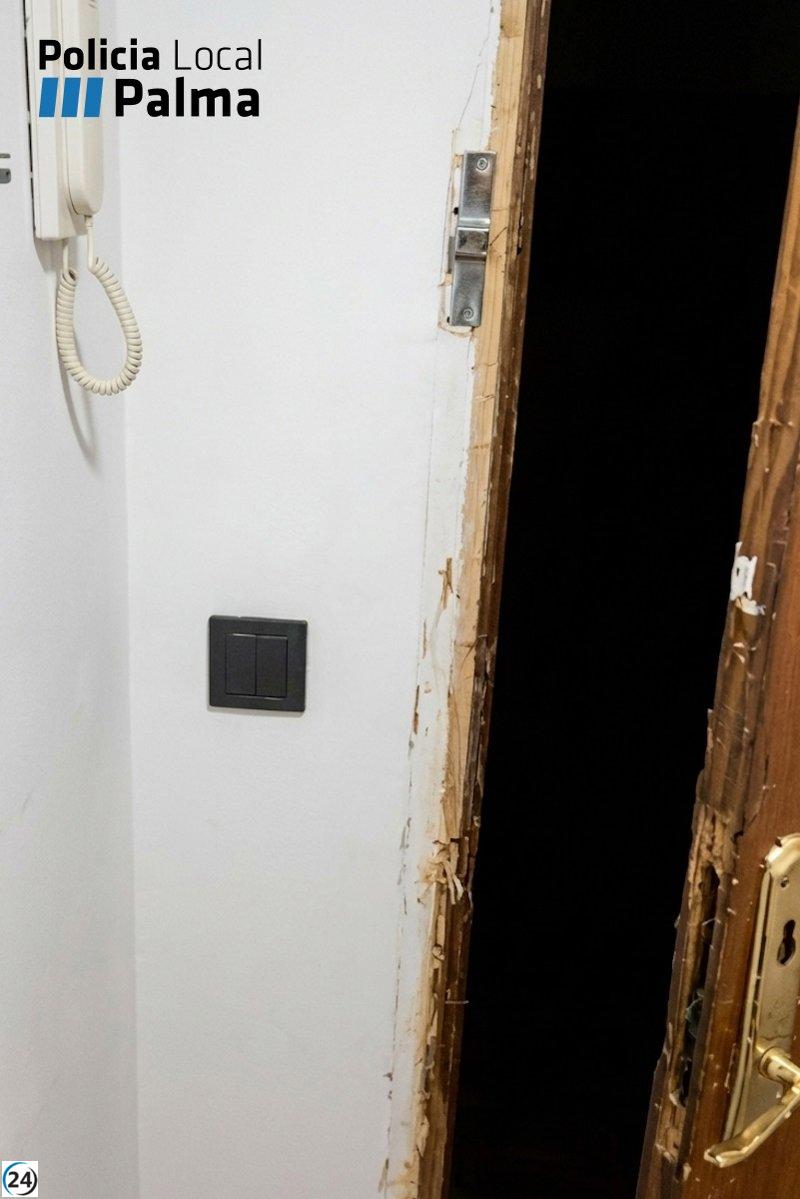 Arrestan a sujeto por intento de robo al desactivar alarma en Palma.