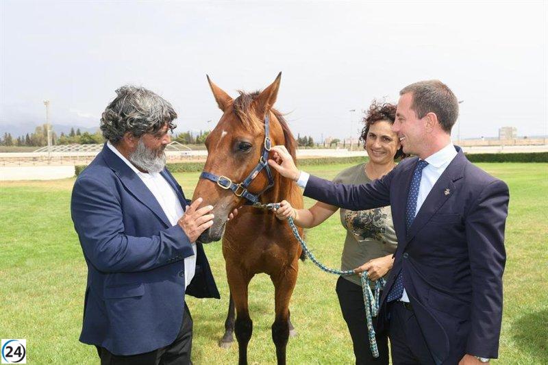 El Consell de Mallorca finaliza un 2025 excepcional para el trote con mayores inversiones y un impulso al sector.
