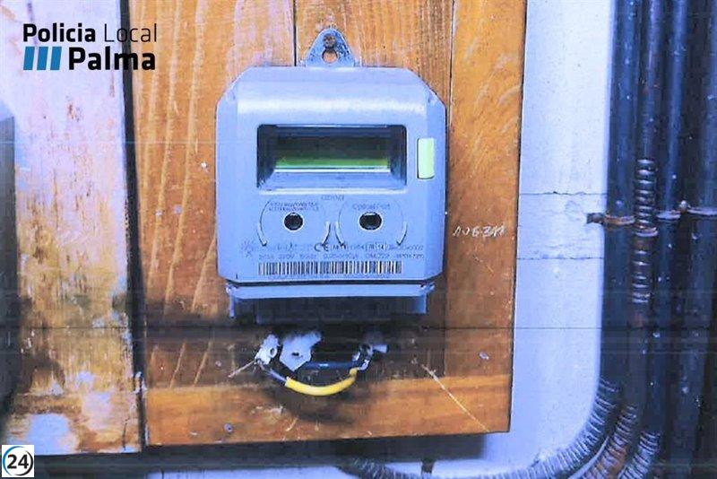 Detenido por alterar el medidor eléctrico en su hogar de Palma.