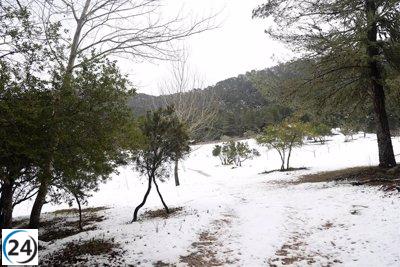 Activada la máxima alerta por bajas temperaturas en Mallorca desde la cota de 600 metros
