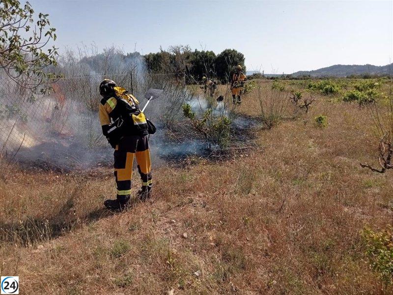 Bomberos y Ibanat extinguen fuego agrícola en zona entre Sineu y Sant Joan.