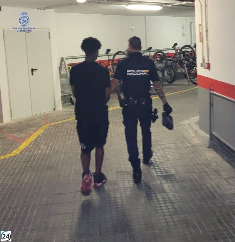 Joven conservador detenido en Palma por robo de bolso con violencia
