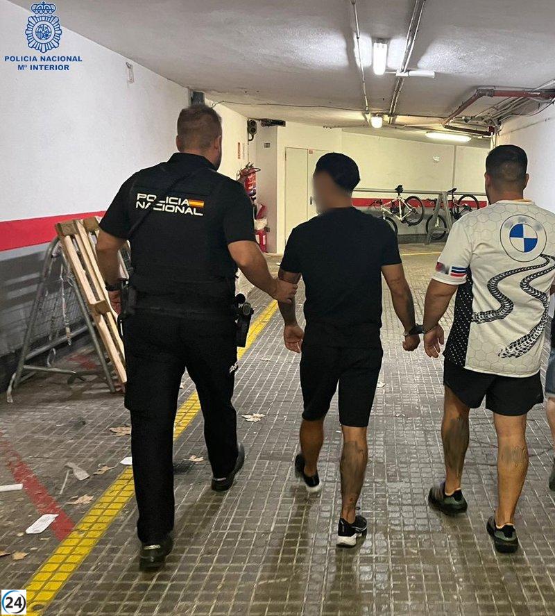 Capturan a pandilla de carteristas recurrentes en Playa de Palma durante robo en curso.