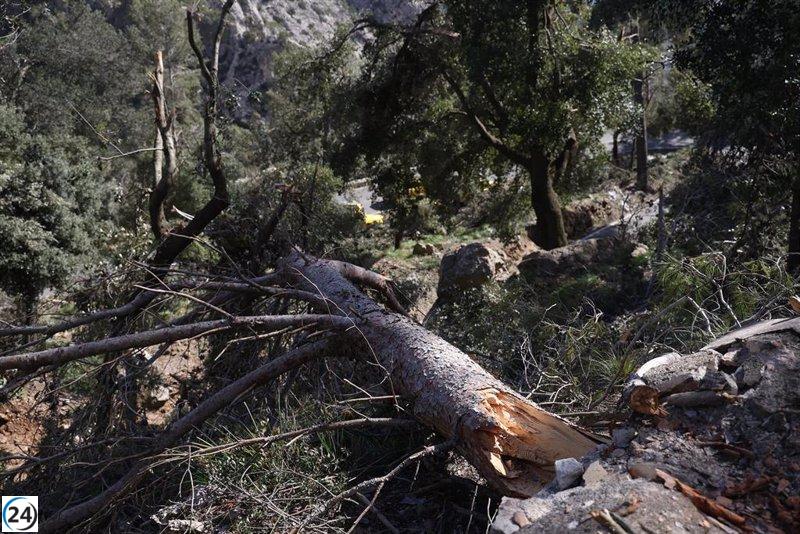 Aprobados 4,46 millones para compensar los daños de la tormenta Juliette en Mallorca.