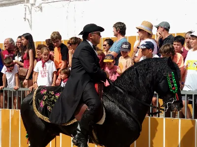 Fiestas de Sant Joan en Ciutadella: un espectáculo de fuegos artificiales y caballos enloquecidos