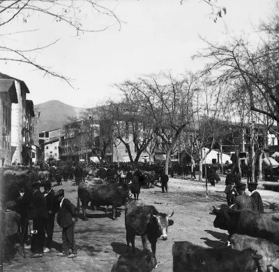La Fira de Sant Ermengol en La Seu d'Urgell: una fiesta con raíces medievales
