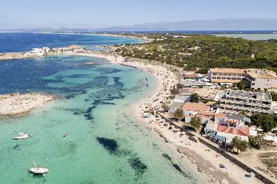 Explora la biodiversidad marina de la costa de Formentera