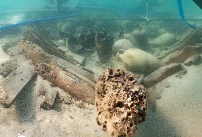El Carnaval de Alcúdia, un tesoro escondido en Baleares