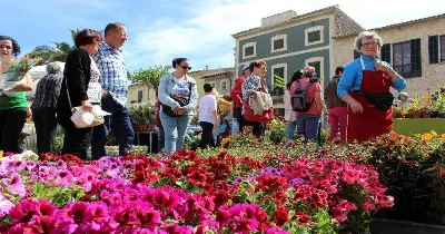 Primavera en Mallorca: de fiesta en la Fira del 1 de Mayo