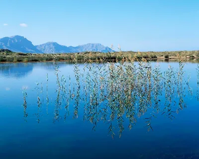 La economía en Baleares:  El turismo sostenible como motor económico