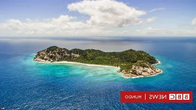 La relación entre el sector turístico y el comercio en las islas